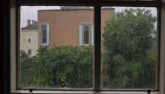 Rainy Day Reflections Rainy Day Reflections