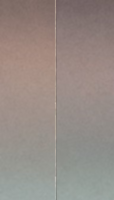 Divided Divided
