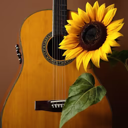 Summer Serenade Summer Serenade