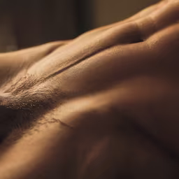 Sculpted Physique