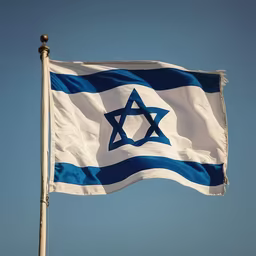 Pride in Blue and White Pride in Blue and White
