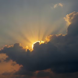 Golden Hour Majesty