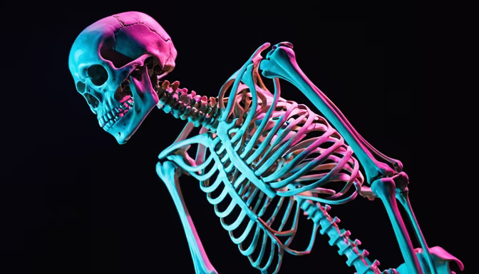 Anatomical Neon
