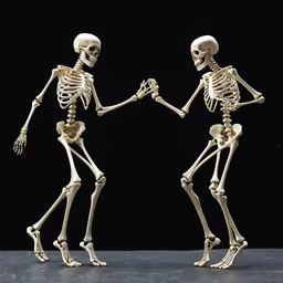 Dance of the Skeletons Dance of the Skeletons