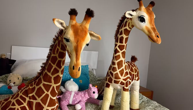 Giraffe Buddies