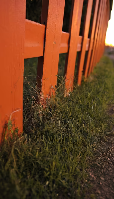 Orange Fence Orange Fence