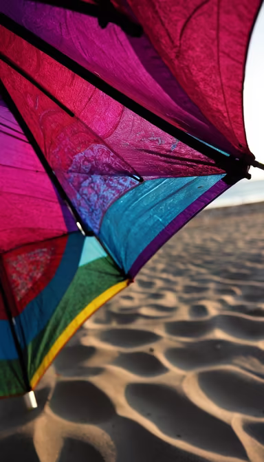 Beach Day Dreams Beach Day Dreams