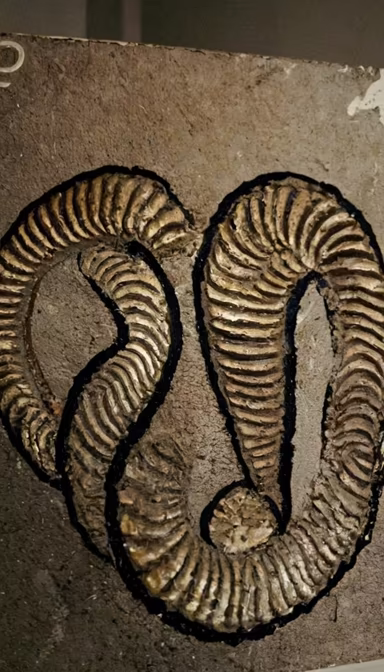 Ancient Echoes Ancient Echoes