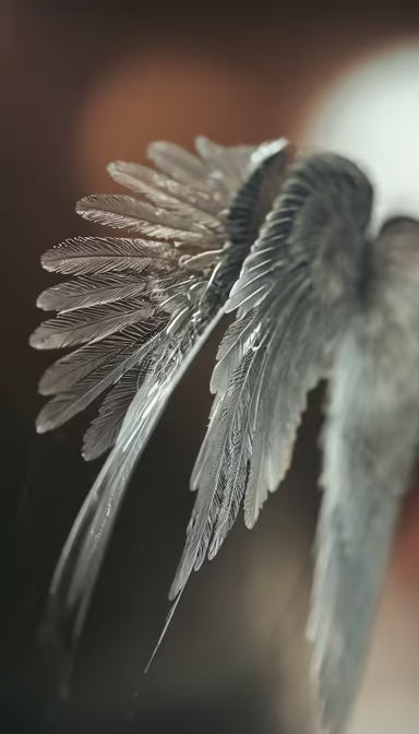 Whispers of Flight