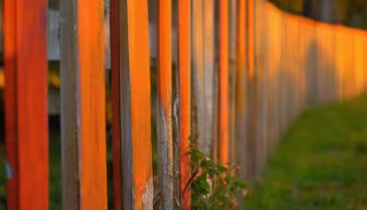 Sunset Hues
