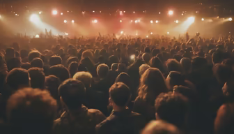 Concert Crowd Concert Crowd
