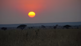 African Sunset African Sunset