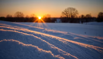 Winter's Embrace Winter's Embrace