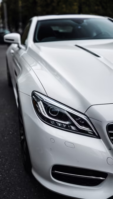 White Beauty