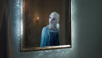 Frozen Reflection