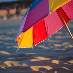 Beach Day Dreams