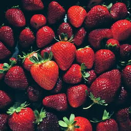 Strawberry Delight Strawberry Delight