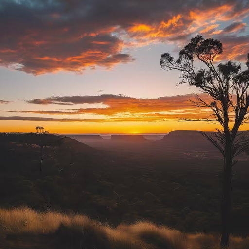 Golden Hour Vista