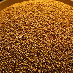 Golden Harvest Golden Harvest