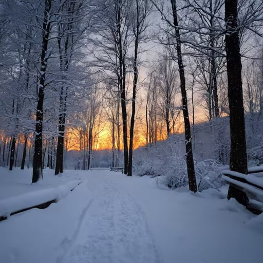 Winter's Embrace