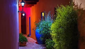 Enchanted Courtyard