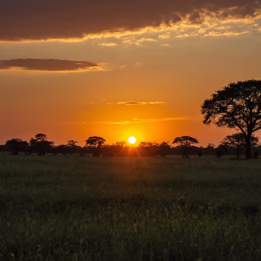 African Sunset