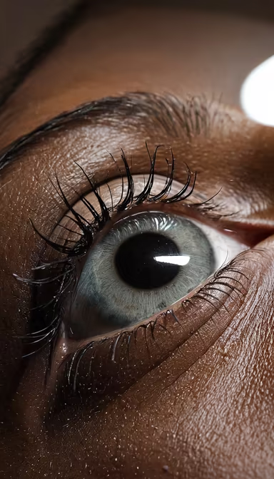 The Window to the Soul The Window to the Soul