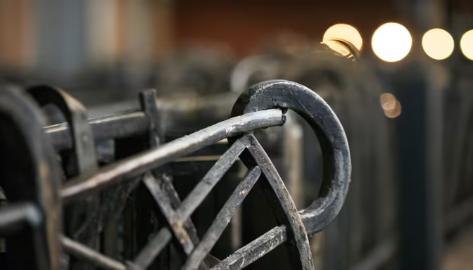 Urban Details