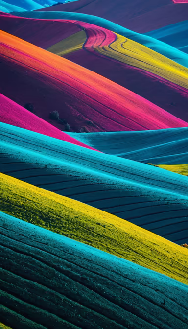 Colorful Fields