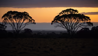 Golden Hour Serenity