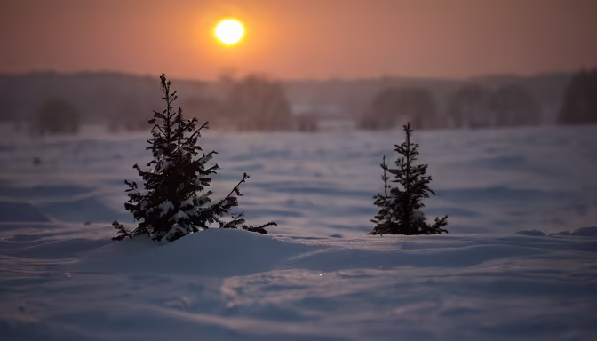 Winter's Embrace