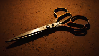 Vintage Scissors Vintage Scissors