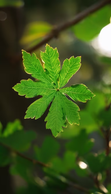 Green Star