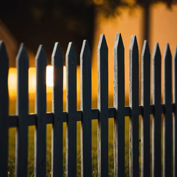 Suburban Dreams