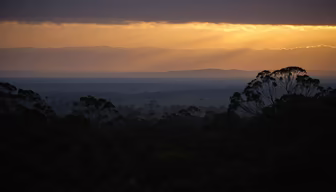 Golden Hour Vista