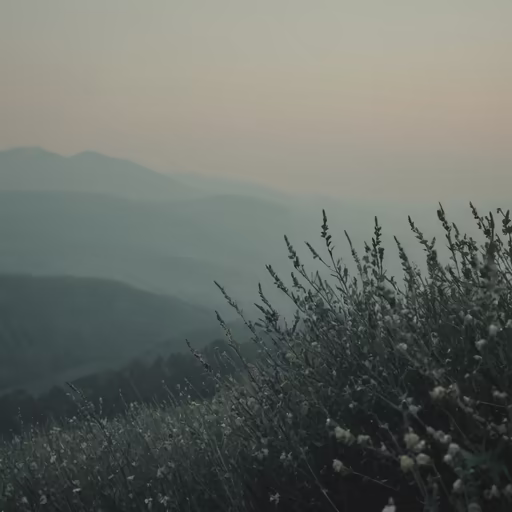 Mountain Serenity