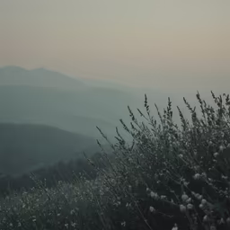 Mountain Serenity Mountain Serenity