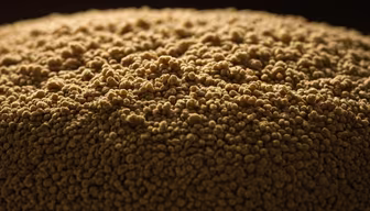 Granular Texture Granular Texture