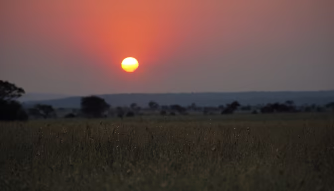 African Sunset