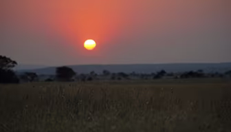African Sunset African Sunset
