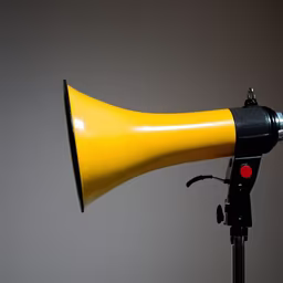 Speak Up Speak Up