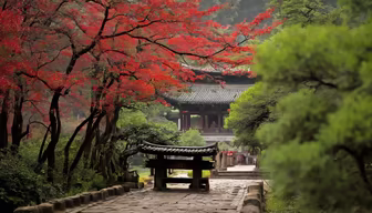 Autumn Temple Path Autumn Temple Path