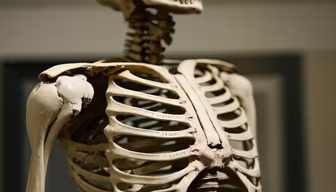 Anatomy Lesson Anatomy Lesson
