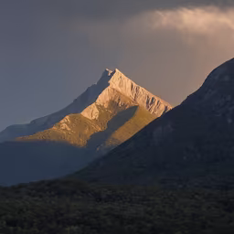 Mountain Majesty
