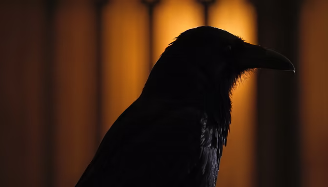 Raven's Shadow