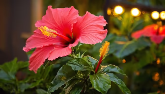 Tropical Bloom