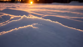 Winter's Embrace Winter's Embrace