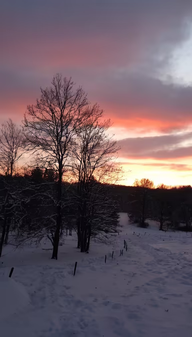 Winter's Glow Winter's Glow