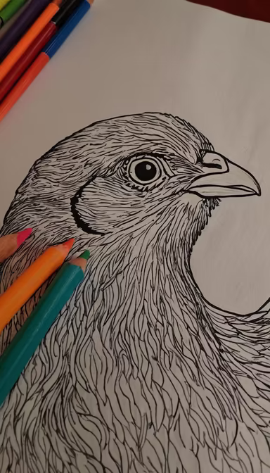 Artistic Bird Artistic Bird