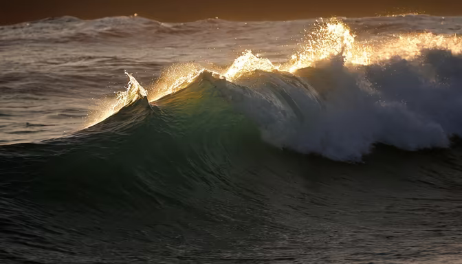 Golden Wave